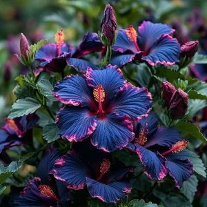 Гибискус Голден Глоу купить по цене от 259р. в интернет-магазине «Посадика» с доставкой почтой в в Киренске и по всей России – [изображение №1].