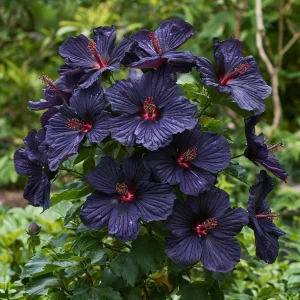 Гибискус Мэджик Момент купить по цене от 699р. в интернет-магазине «Посадика» с доставкой почтой в в Киренске и по всей России – [изображение №1].