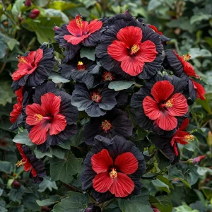 Гибискус Шиммеринг купить по цене от 720р. в интернет-магазине «Посадика» с доставкой почтой в в Киренске и по всей России – [изображение №1].